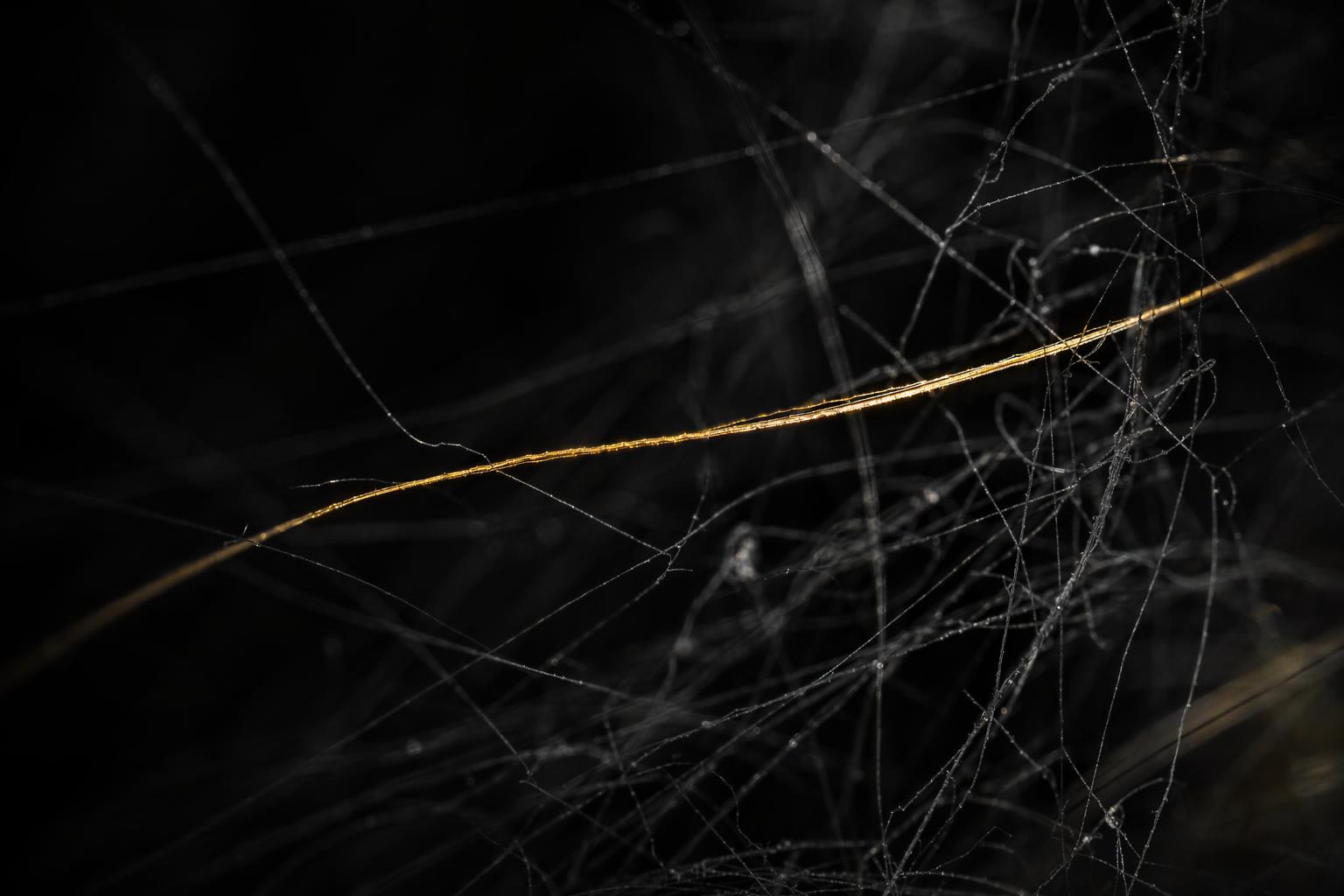 How to Get Your Brand Into AI Search Results: A Plain-Language Guide to LLM Grounding